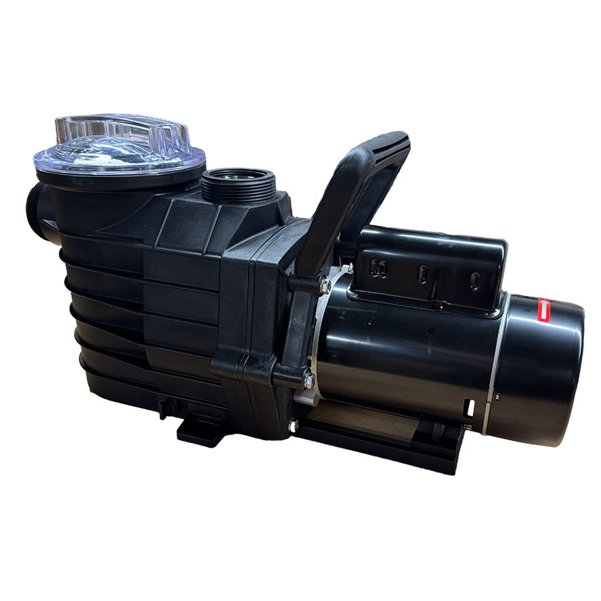 Inground pool pump LX 1.65 HP