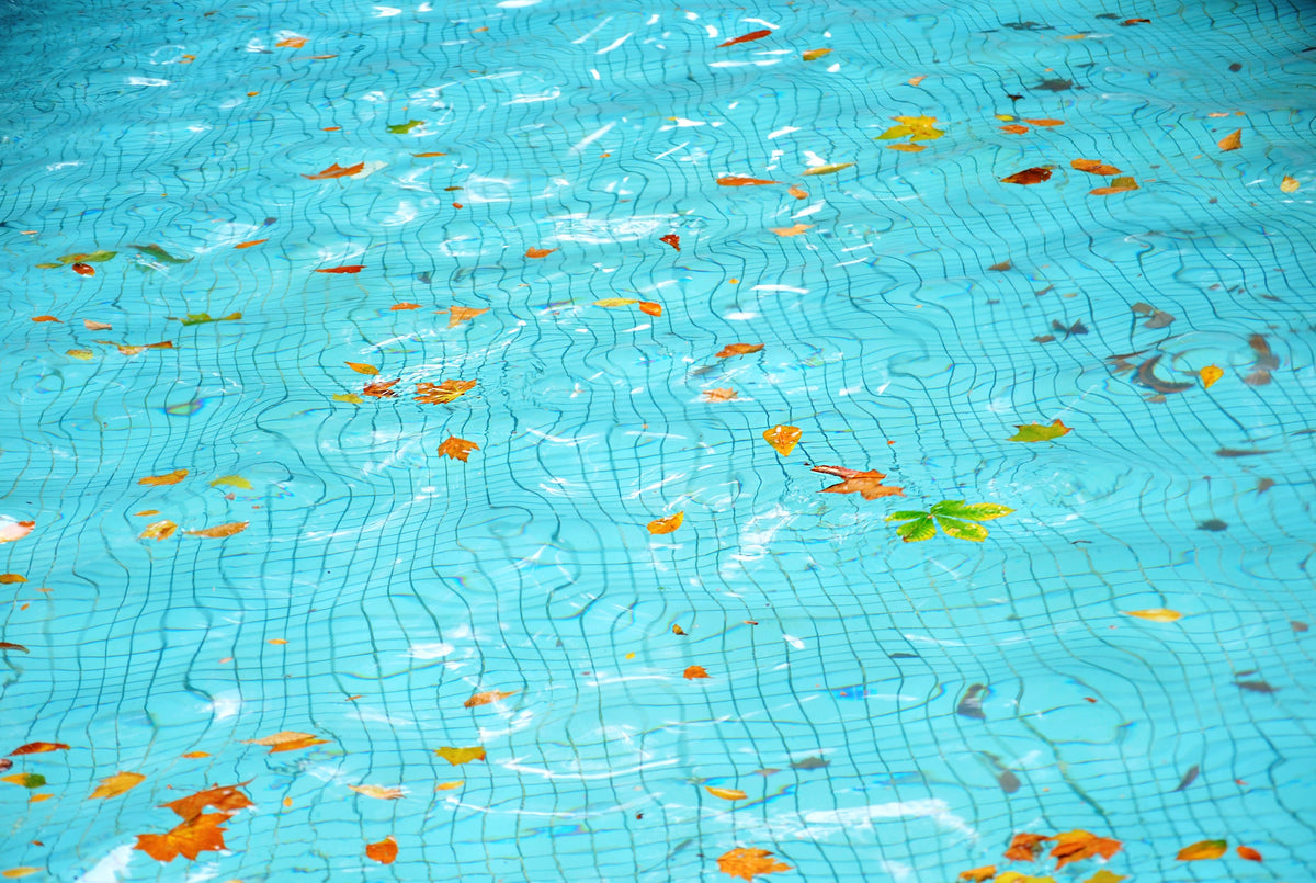 eau piscine avec feuille