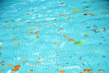 eau piscine avec feuille