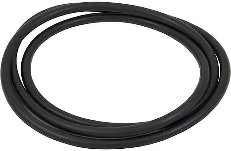 XStream FILTRE À CARTOUCHE Oring DE CORP - HAYWARD
