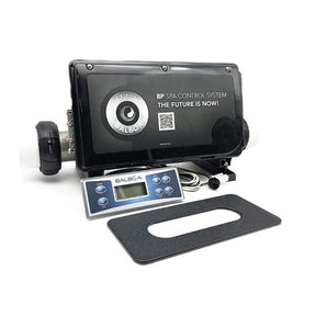 Ensemble de contrôle Balboa BP100 avec clavier TP500 à six boutons, chauffe-eau et plaque adaptatrice