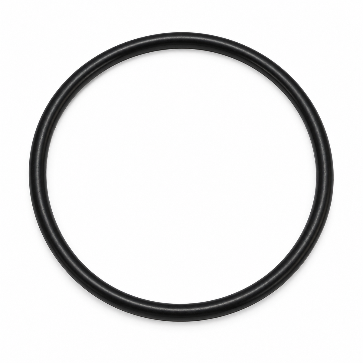 Joint torique noir pour chauffe-piscine Thermeau, référence THER307020, vendu à l’unité