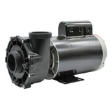 Pompe de spa LX 56WUA300-II 3 HP avec moteur bâti 56, vue gauche