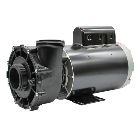 Pompe de spa LX 56WUA300-II 3 HP avec moteur bâti 56, vue gauche