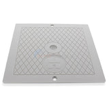 SKIMMER LID (gray) - Hayward