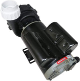 Pompe de spa LX 48WUA1001C-II – 1 HP, 2 vitesses, 115 V