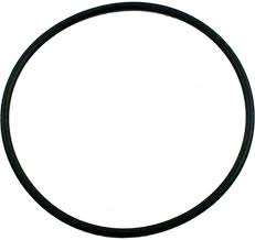 Pentair 354533 – O-Ring Seal for Sta-Rite Dynamo Above-Ground Pump Cover
